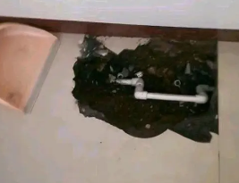 北碚卫生间测漏水多少钱